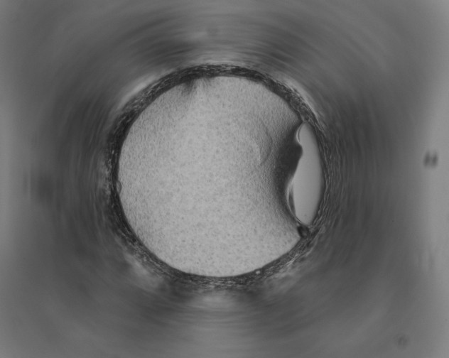 X0000094461064200712061218