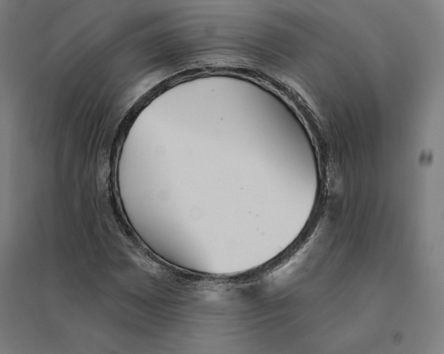 X0000094461065200712061218