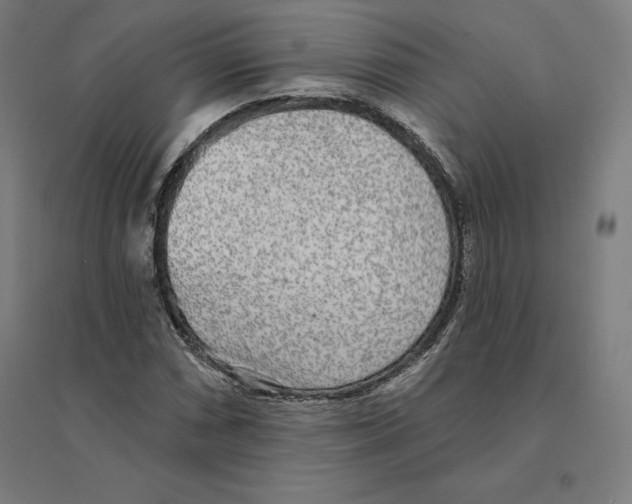 X0000094461066200712061218