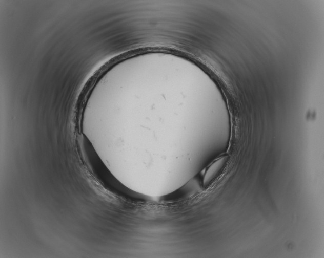 X0000094461068200712061218