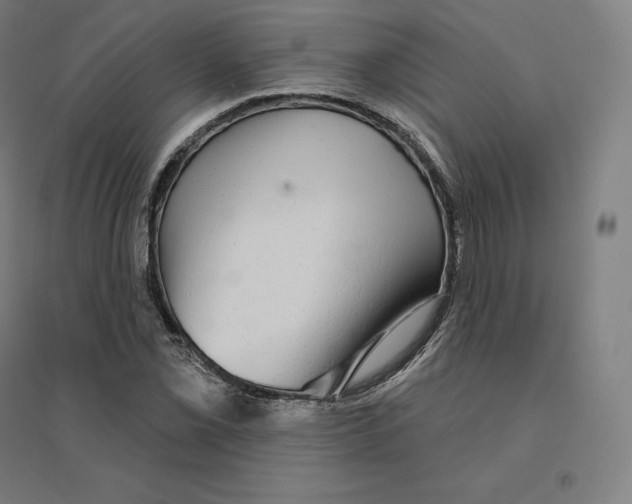 X0000094461069200712061218