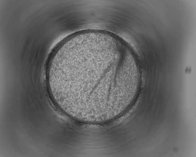 X0000094461070200712061218