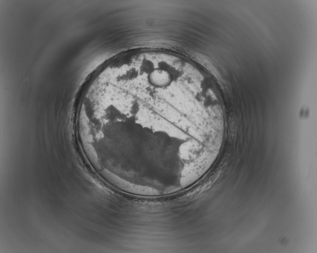 X0000094461071200712061218