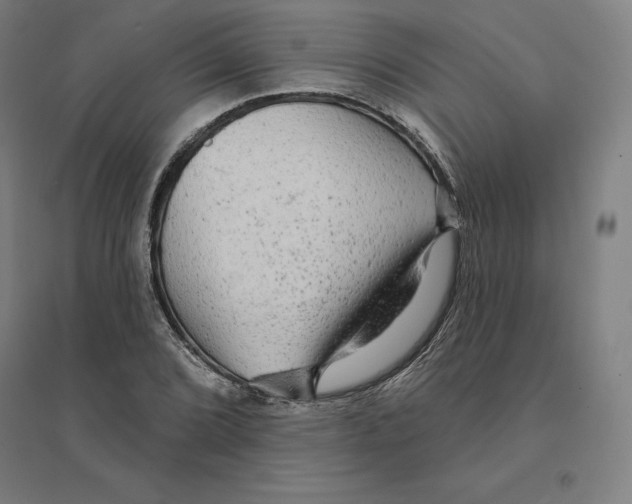 X0000094461072200712061218