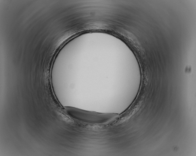 X0000094461073200712061218