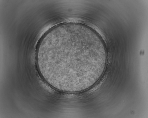 X0000094461075200712061218