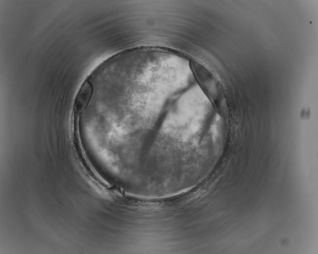 X0000094461076200712061218