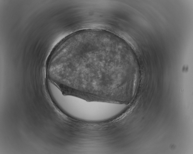 X0000094461079200712061218