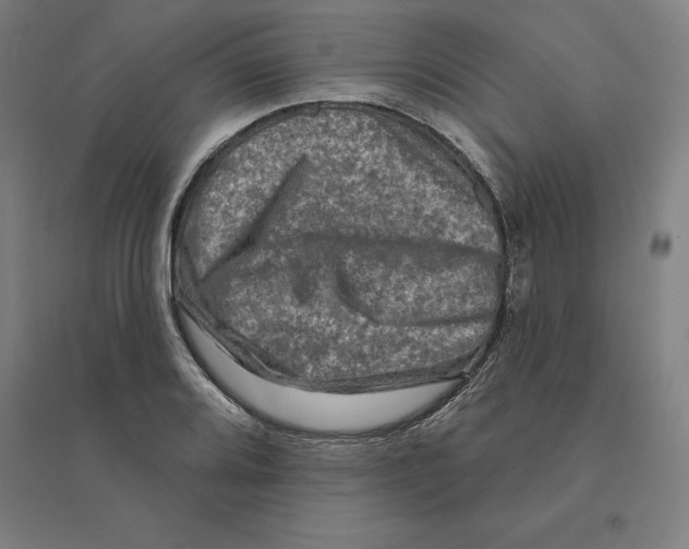 X0000094461080200712061218