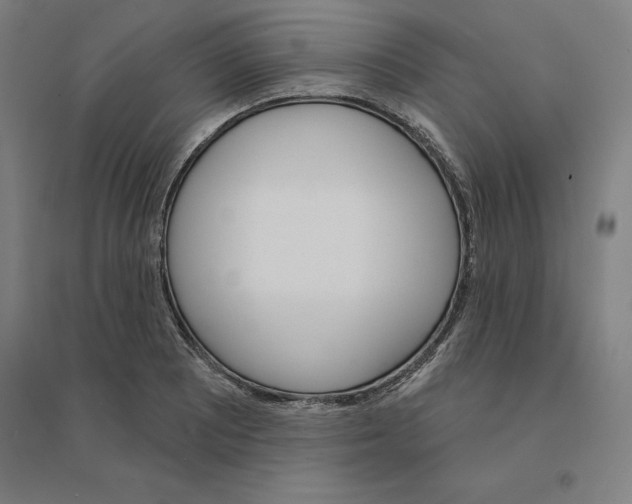 X0000094461081200712061218