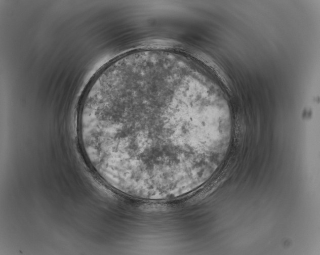 X0000094461083200712061218