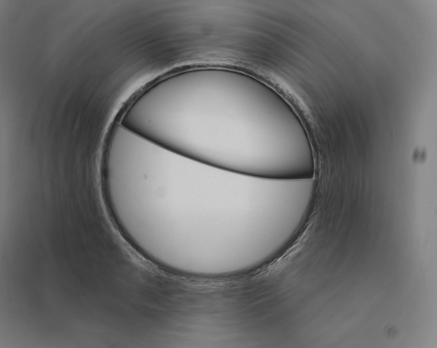 X0000094461085200712061218