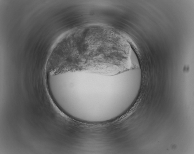 X0000094461087200712061218