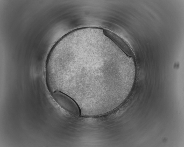 X0000094461088200712061218