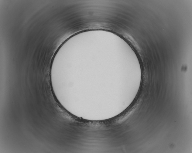 X0000094461089200712061218