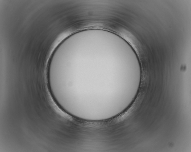 X0000094461090200712061218