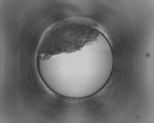 X0000094461091200712061218