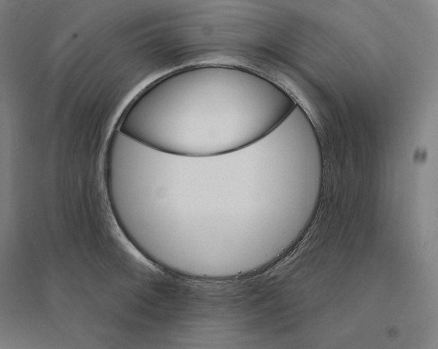 X0000094461092200712061218