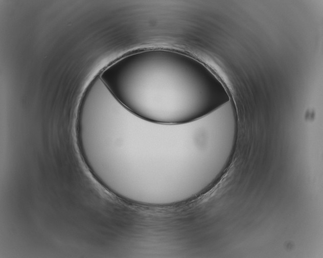 X0000094461093200712061218