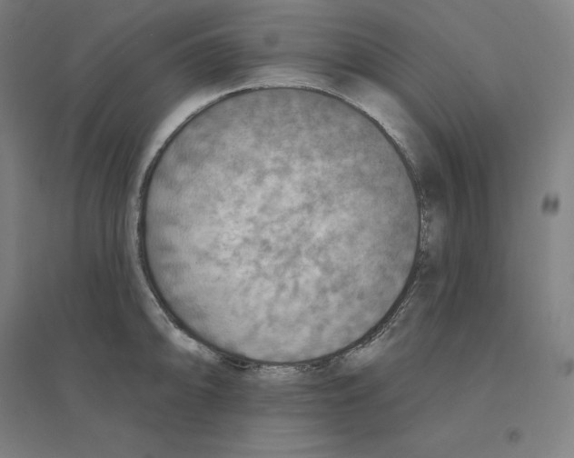 X0000094461094200712061218