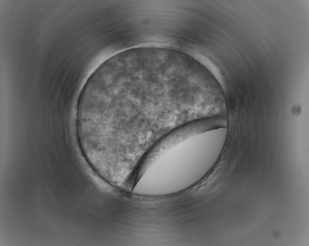 X0000094461099200712061218