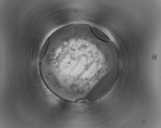 X0000094461100200712061218