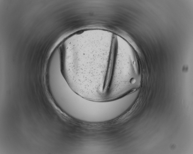 X0000094461101200712061218