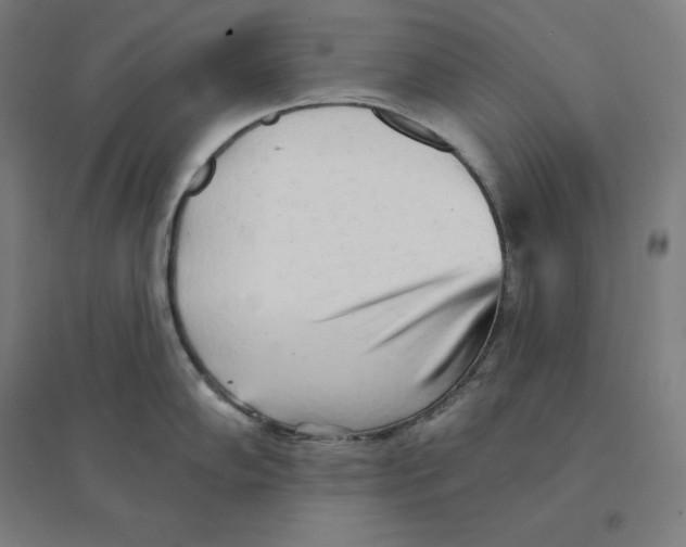 X0000094461102200712061218