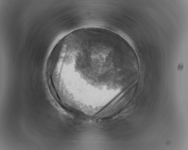 X0000094461104200712061218