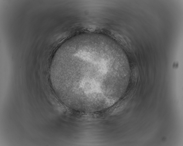 X0000094461105200712061217