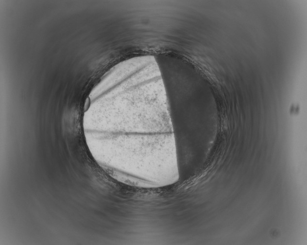 X0000094461106200712061217