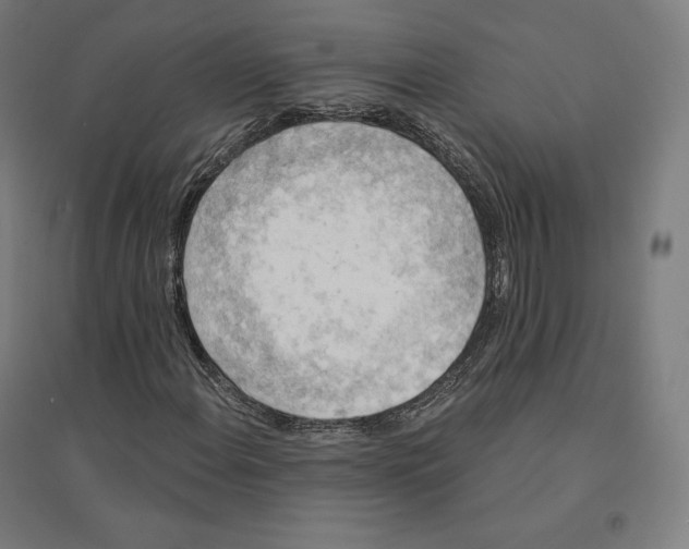 X0000094461108200712061217