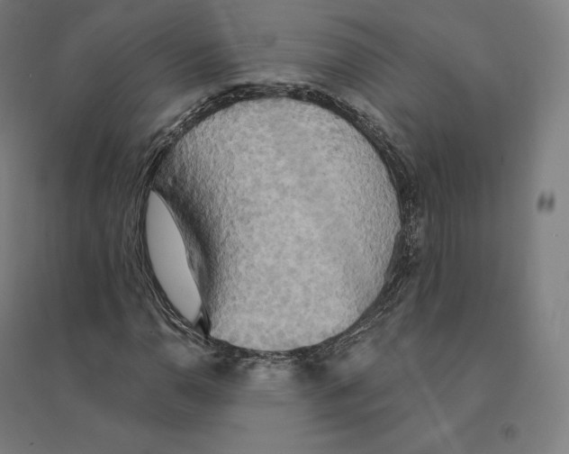 X0000094461110200712061217