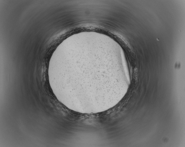 X0000094461111200712061217