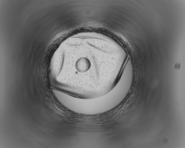 X0000094461112200712061217