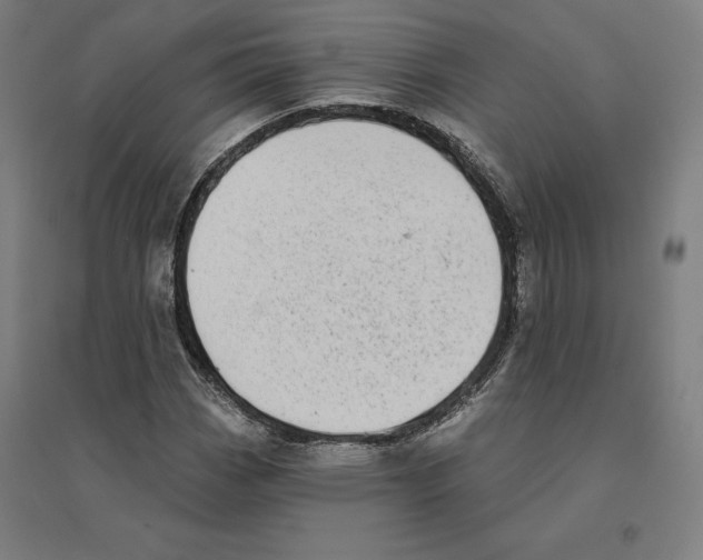 X0000094461113200712061217