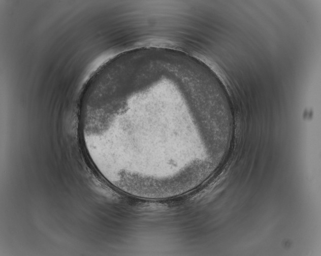 X0000094461115200712061217