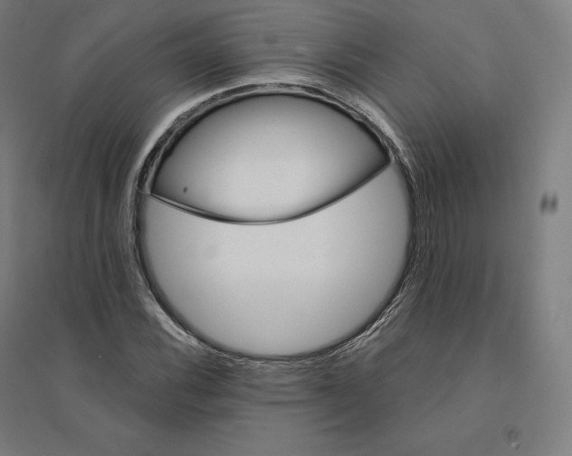 X0000094461116200712061217