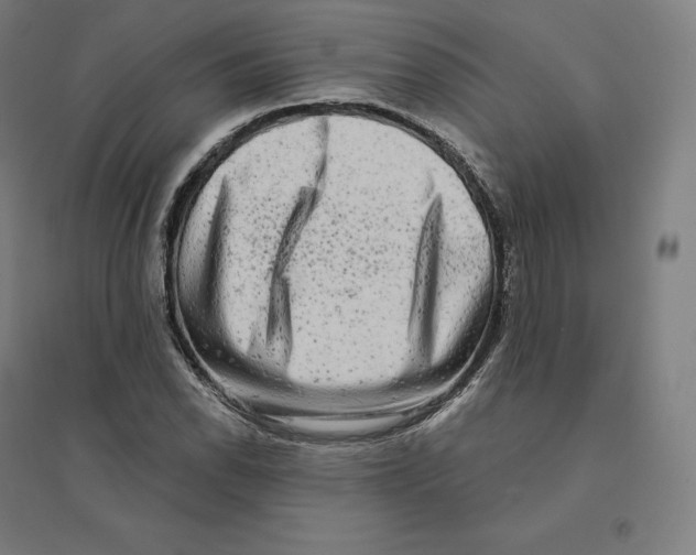 X0000094461118200712061217