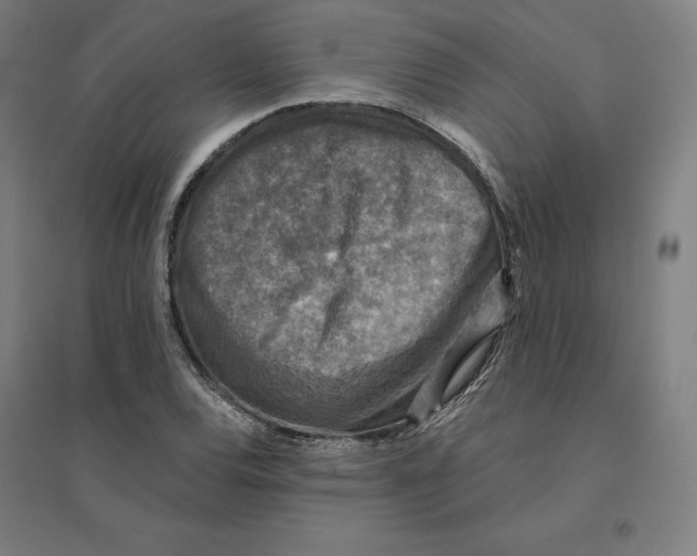 X0000094461120200712061217