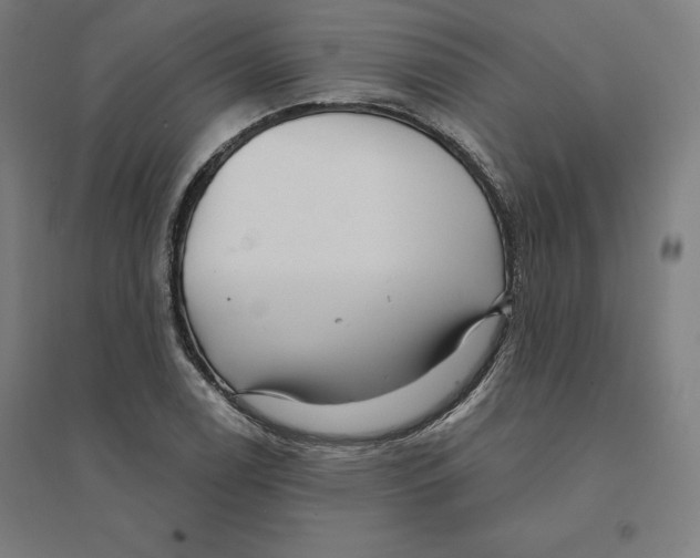 X0000094461122200712061217