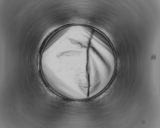 X0000094461123200712061217