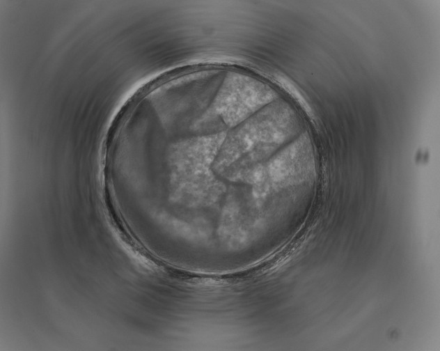 X0000094461124200712061217