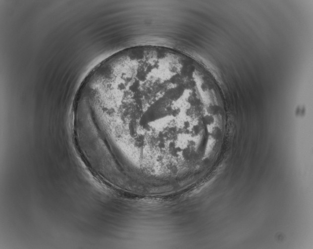 X0000094461125200712061217