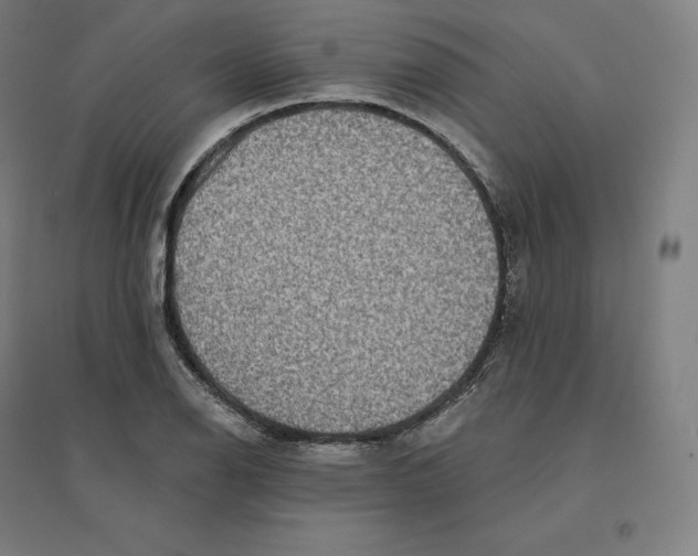 X0000094461126200712061217