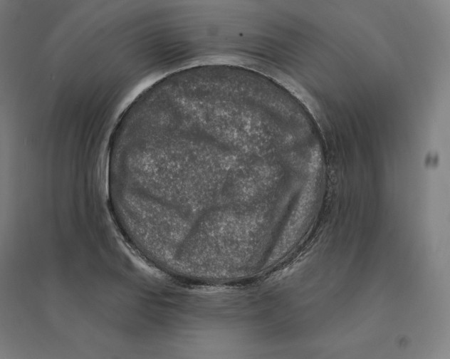 X0000094461127200712061217