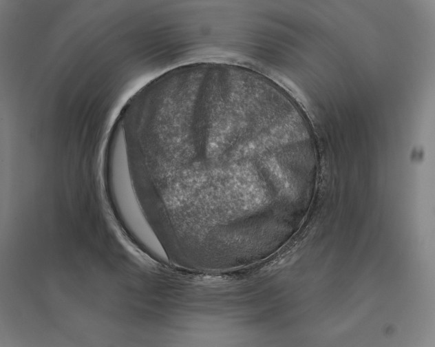 X0000094461128200712061217