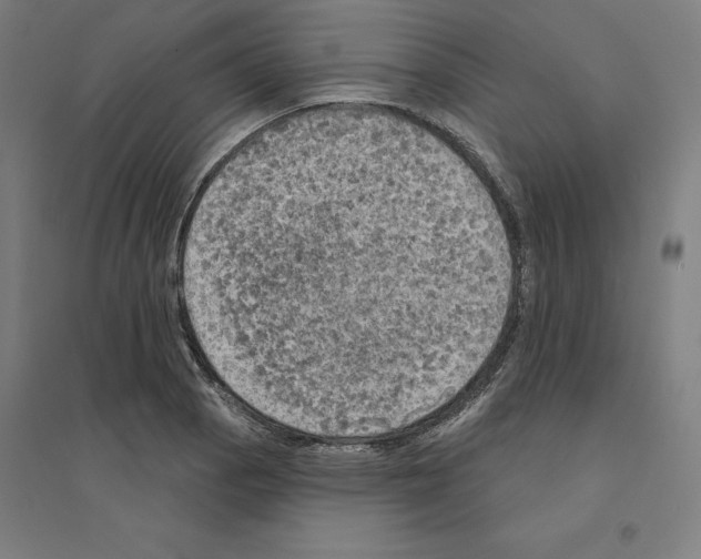 X0000094461129200712061217