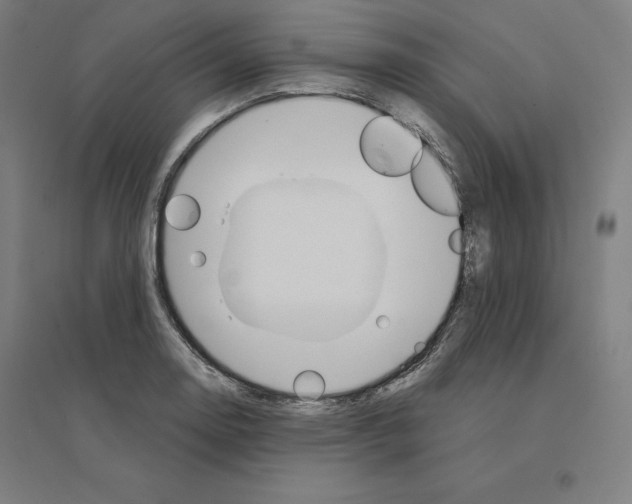 X0000094461130200712061217