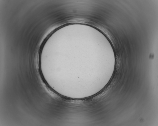 X0000094461131200712061217